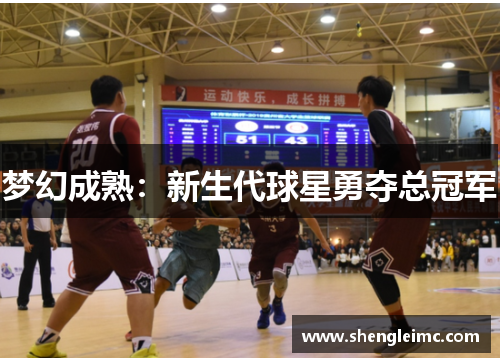 梦幻成熟：新生代球星勇夺总冠军